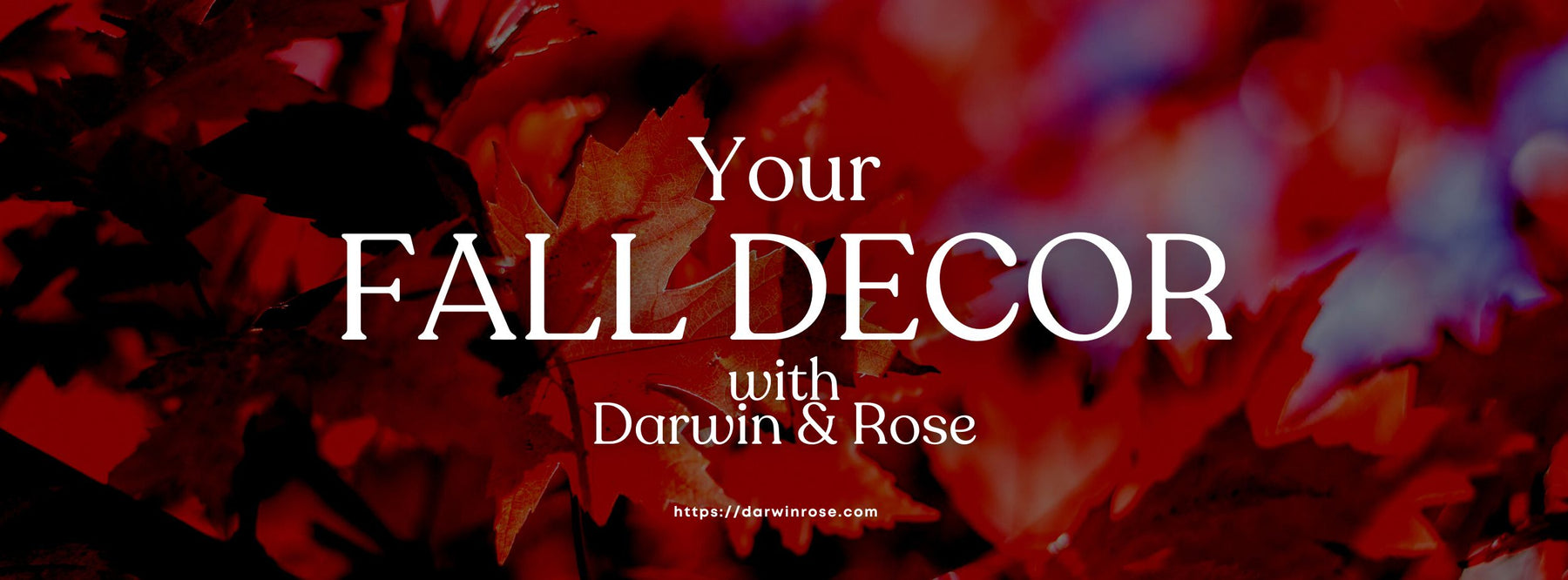 Quick, Chic, and Unique: Your Fall Decor Ideas with Darwin & Rose Home Decor!