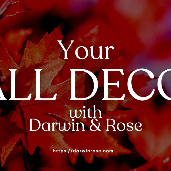 Quick, Chic, and Unique: Your Fall Decor Ideas with Darwin & Rose Home Decor!