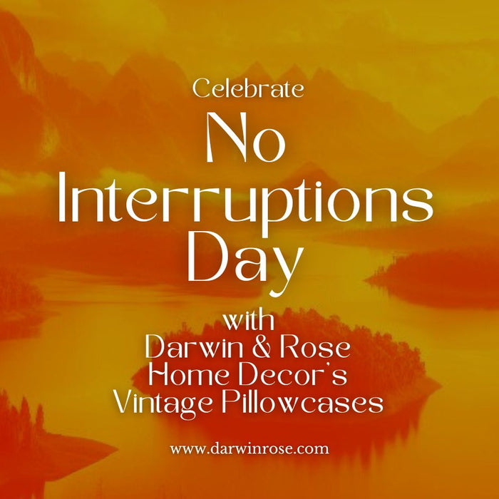 Celebrate No Interruptions Day #NoInterruptionsDay with Darwin & Rose Home Decor's Vintage Pillowcases