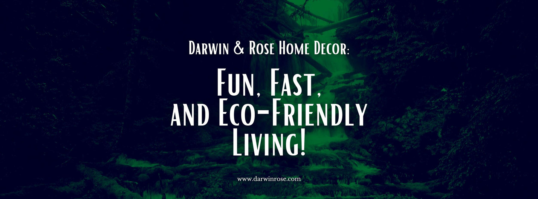Darwin & Rose Home Decor: Fun, Fast, and Eco-Friendly Living!