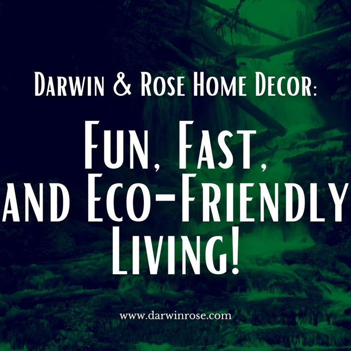 Darwin & Rose Home Decor: Fun, Fast, and Eco-Friendly Living!
