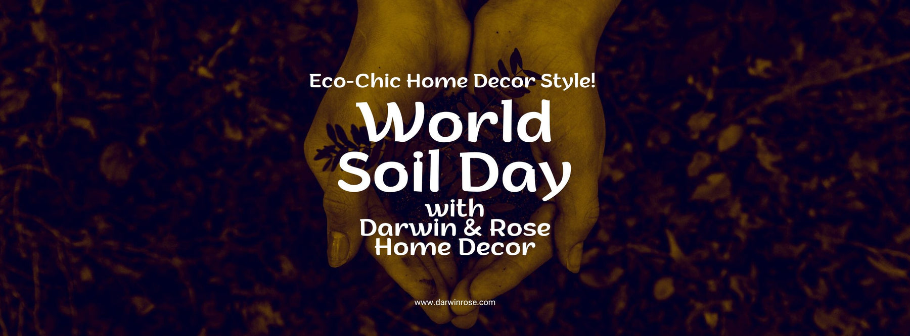 Celebrating World Soil Day with Darwin & Rose Home Decor: Eco-Chic Home Decor Style!